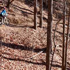 Exploring the Best Bike-Friendly Forests in South Carolina