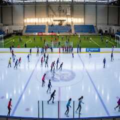 The Ins and Outs of Using Sports Facilities in Leon County, Florida