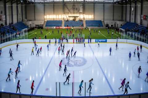 The Ins and Outs of Using Sports Facilities in Leon County, Florida