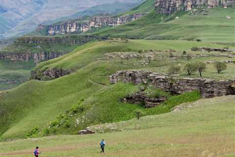 Want Total-Body Functional Strength? This Push-Up Challenge Is For You